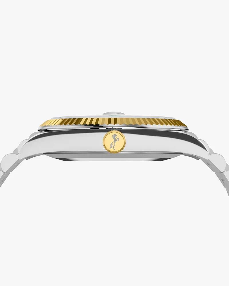 Starboard White Gold Silver - Image 6